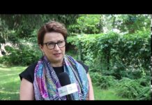 Co dalej z rozwojem odnawialnych źródeł energii? W jakich sektorach jest najgorzej?